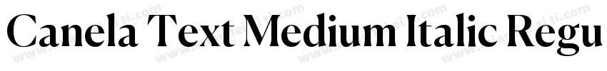 Canela Text Medium Italic RegularVe字体转换